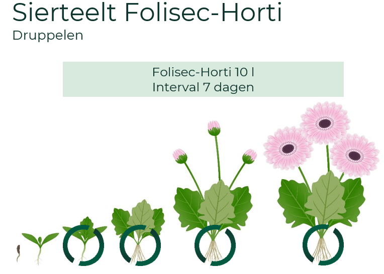 Sierteelt Folisec-Horti
