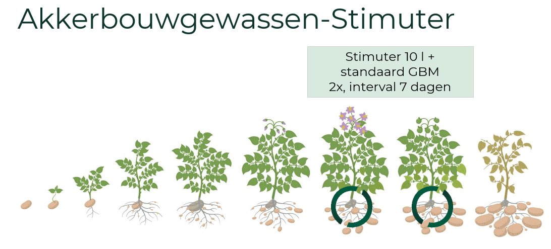 Akkerbouwgewassen Stimuter