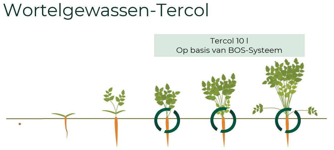 Wortelgewassen-Tercol