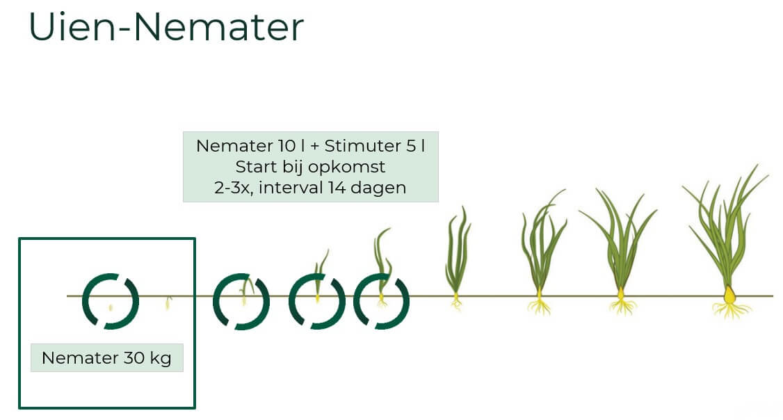 Nemater MG-Zaaiuien 03-2025