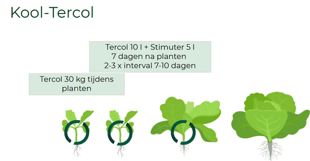 Kool Tercol 30-04-2025