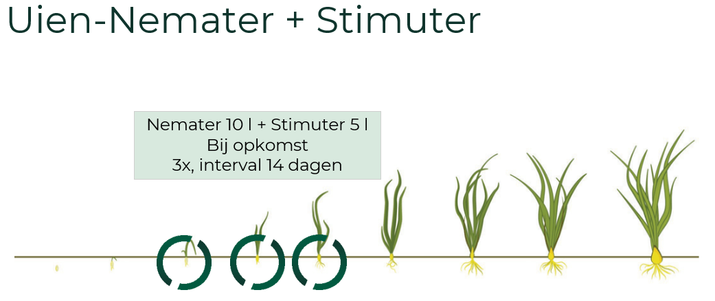 Uien Nemater & Stimuter 3x