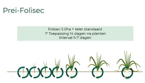 Prei teeltseizoen 2025 Folisec.svg