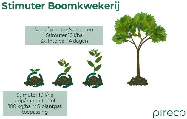 Boomkwekerij Stimuter 2026
