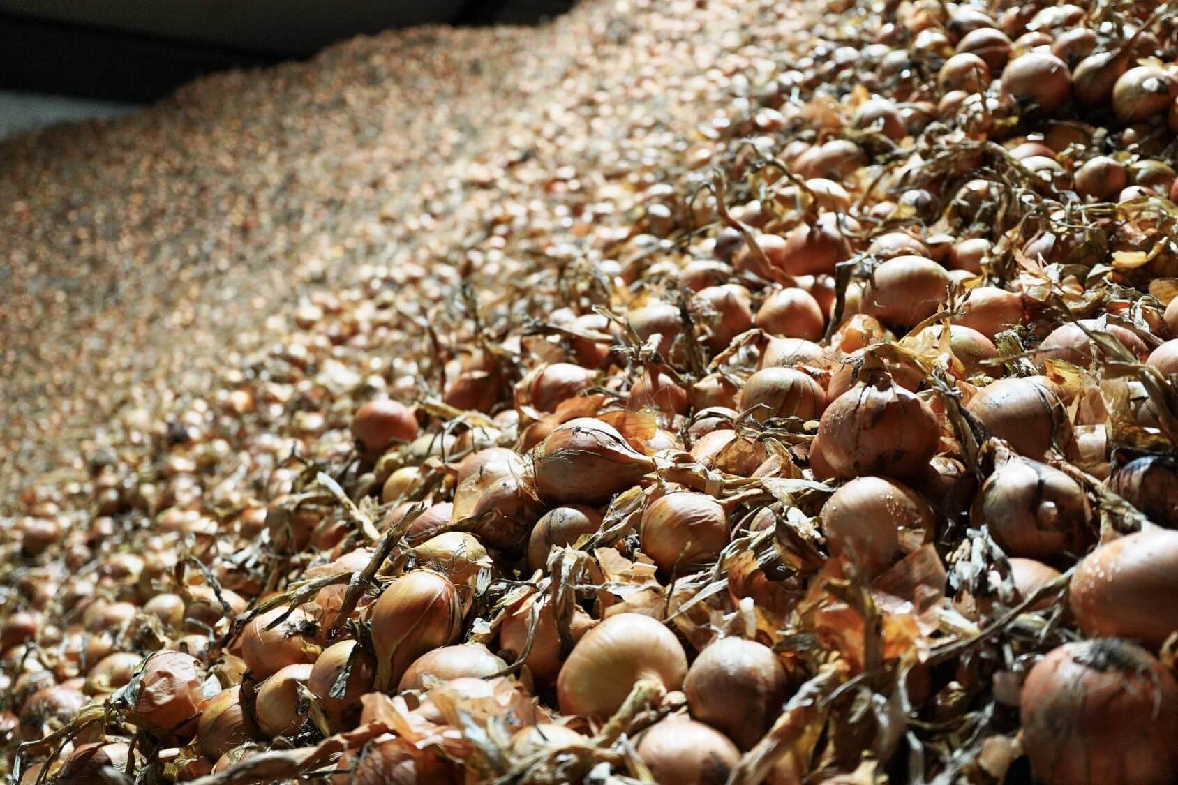 Maatschap Wollerich 10-04-2026