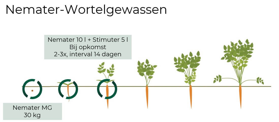 Nemater MG peen 2026