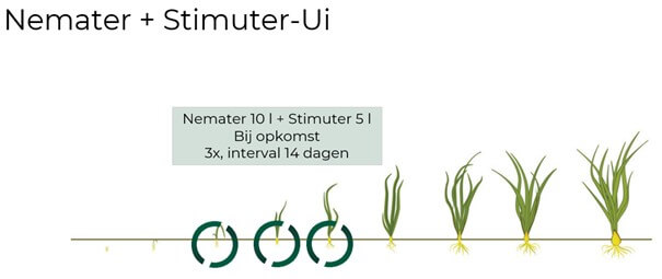 Ui Nemater - Stimuter 2026