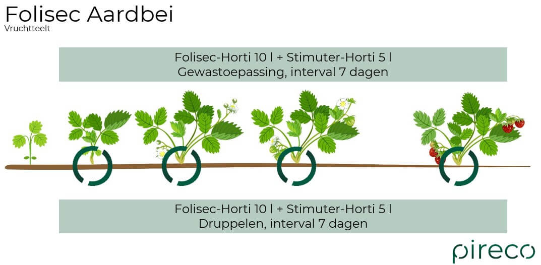 Folisec Aardbei 2026