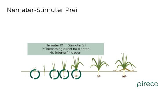Positionering Nemater - Stimuter prei 2026