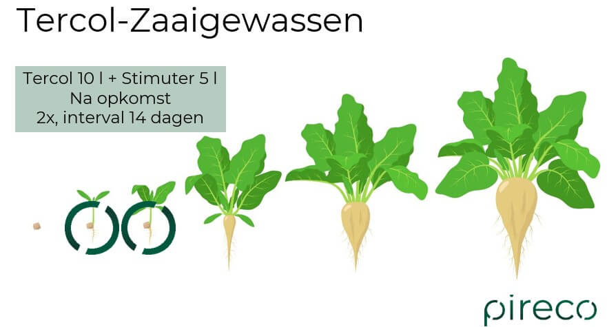 Tercol zaaigewassen 2026